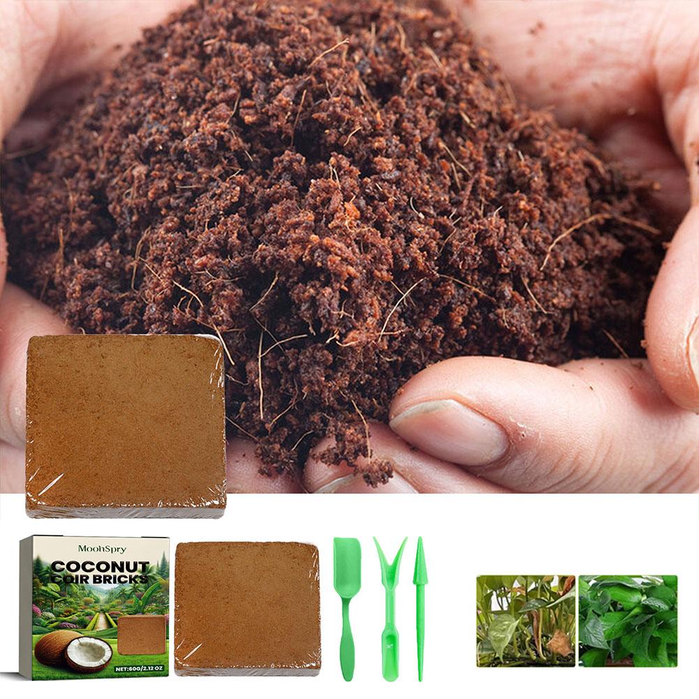 Sphagnum Moss Dry - Batu Bata Serat Sabut Kelapa -