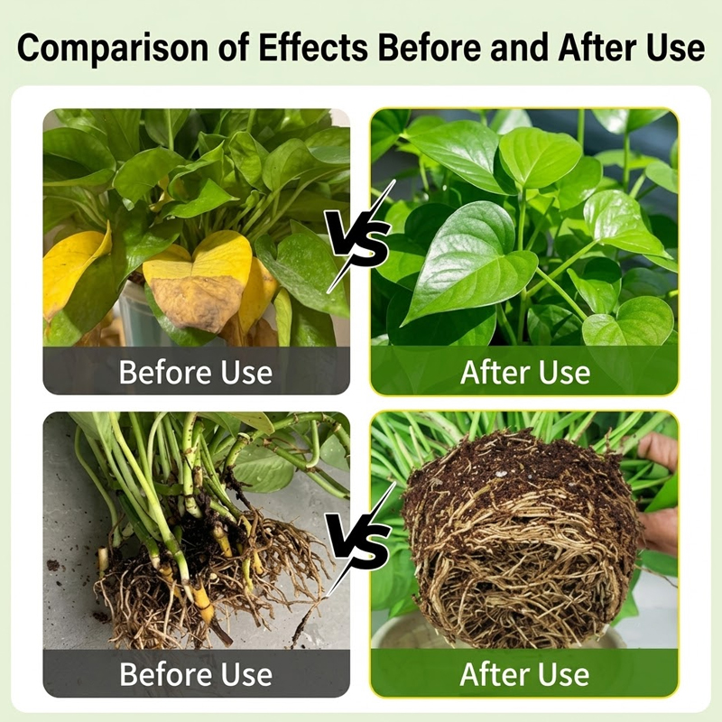 Solusi Perangsang Perakaran Ta - Rooting Hormone Powder ulasan dan harga
