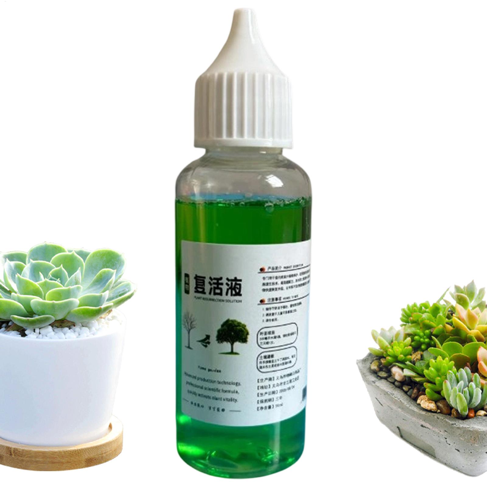 Pemicu Pertumbuhan Akar untuk  - Root Stimulator Liquid ulasan dan harga