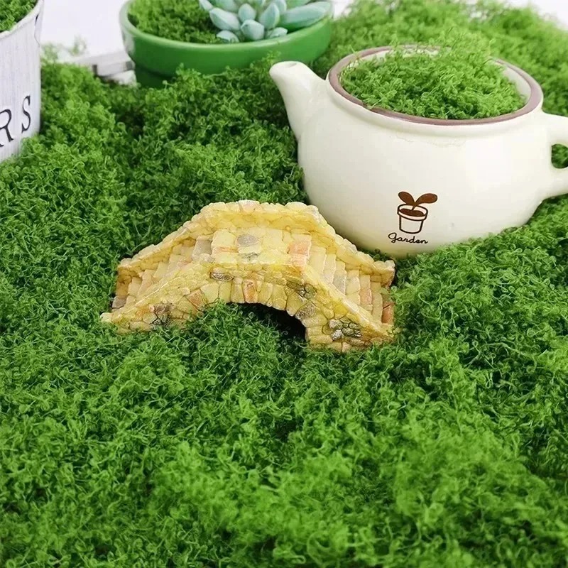 Lumut Palsu Lumut Hijau Buatan - Sphagnum Moss Dry ulasan dan harga