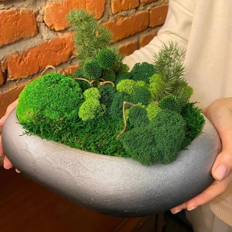 Lumut Palsu Lumut Hijau Buatan - Sphagnum Moss Dry ulasan dan harga
