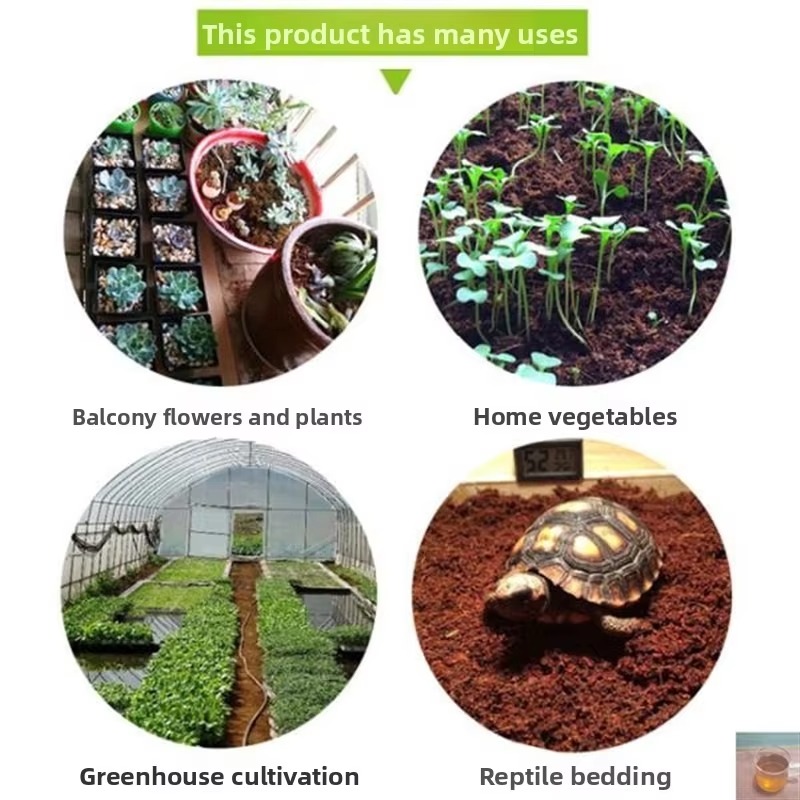 Bantalan Reptil dari Serat Kel - Sphagnum Moss Dry ulasan dan harga