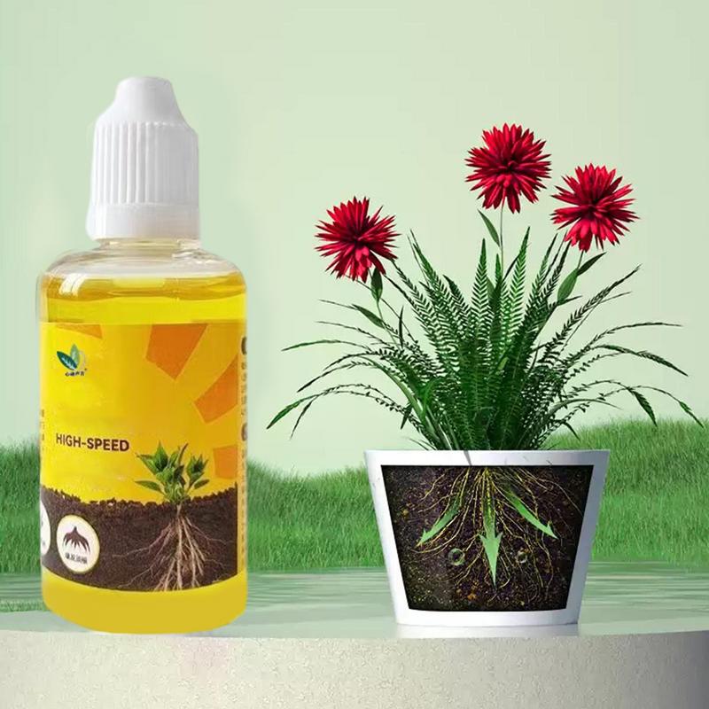 50ml Stimulator akar tanaman c - Rooting Hormone Powder ulasan dan harga