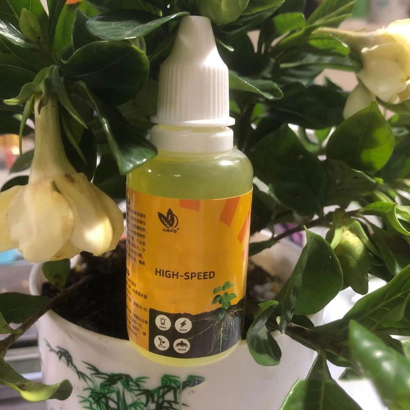 50ml Stimulator akar tanaman c - Rooting Hormone Powder ulasan dan harga