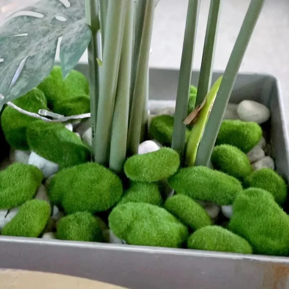 50/5PCS Bola Batu Lumut Buatan - Sphagnum Moss Dry ulasan dan harga