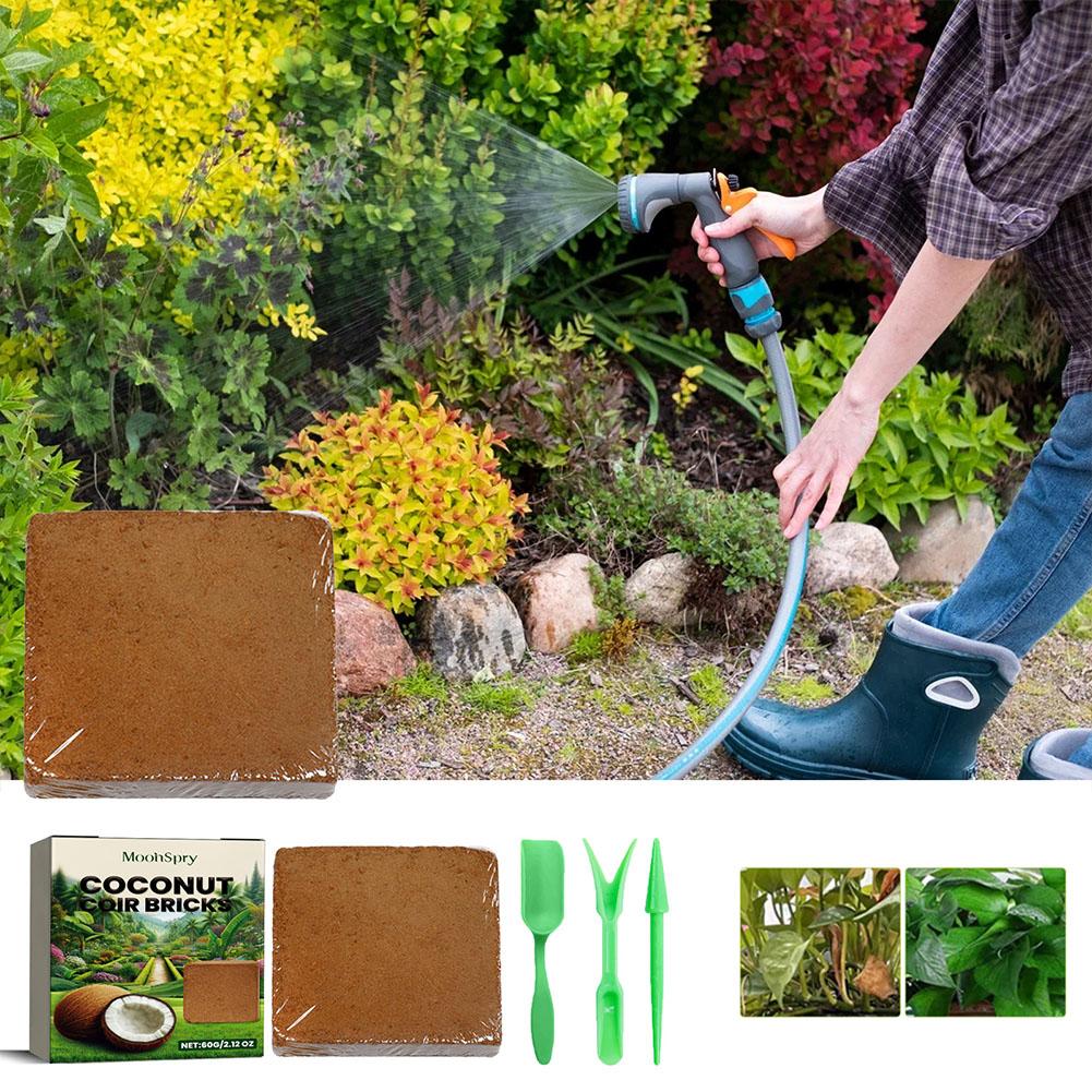 Batu Bata Serat Sabut Kelapa - - Sphagnum Moss Dry ulasan dan harga