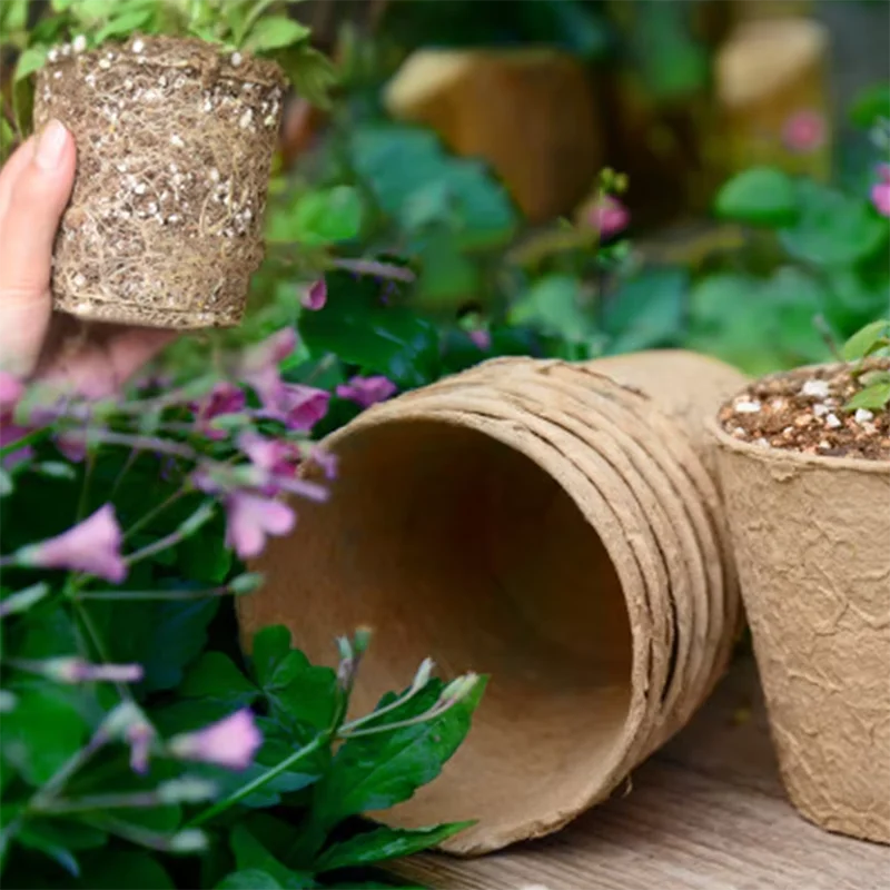 50 Buah Pot Tanaman Bulat dari - Peat Pellet Tray ulasan dan harga
