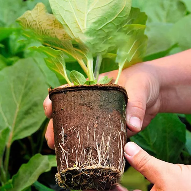 50 Buah Pot Tanaman Bulat dari - Peat Pellet Tray ulasan dan harga