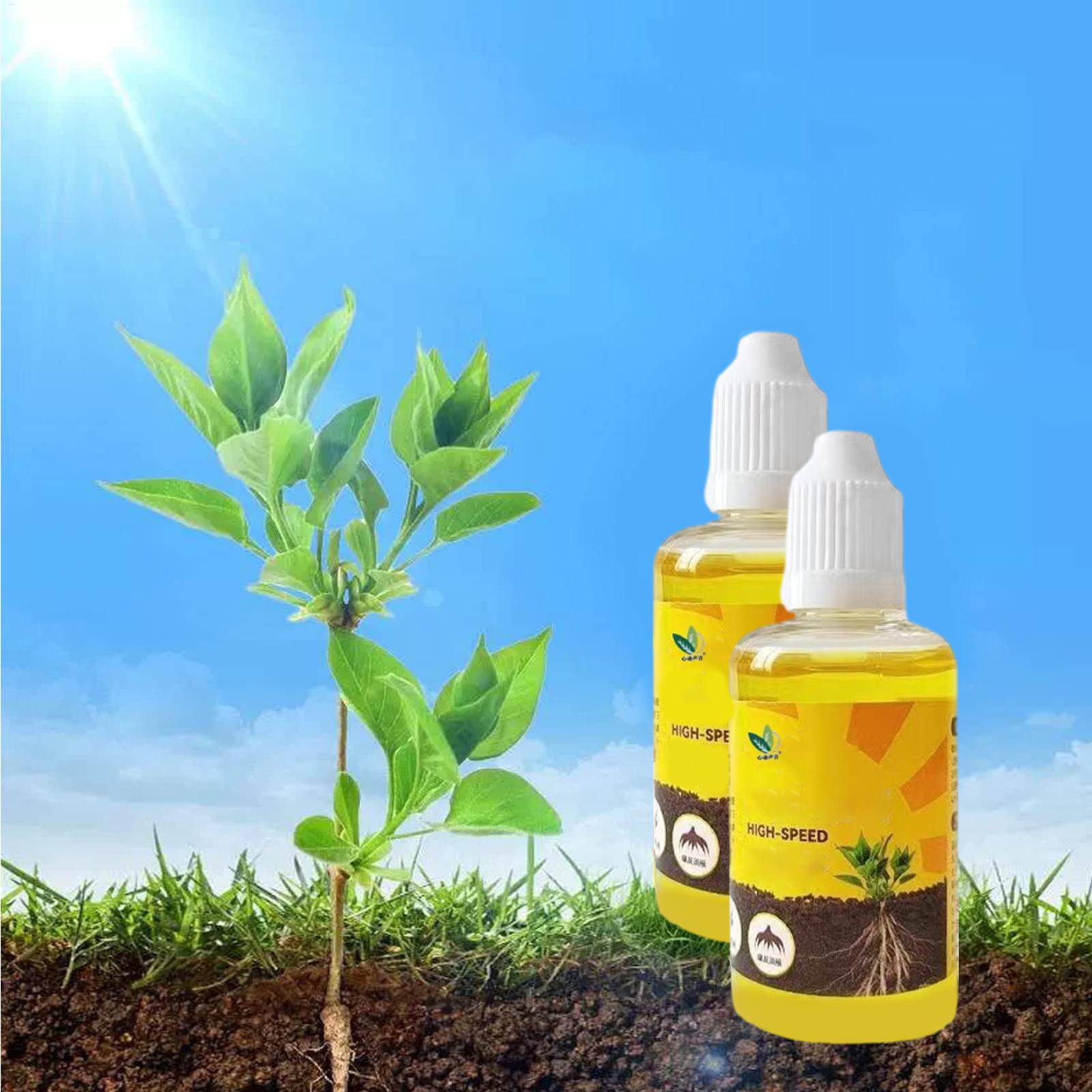 50ml Cairan Penguat Akar Tanam - Root Stimulator Liquid ulasan dan harga